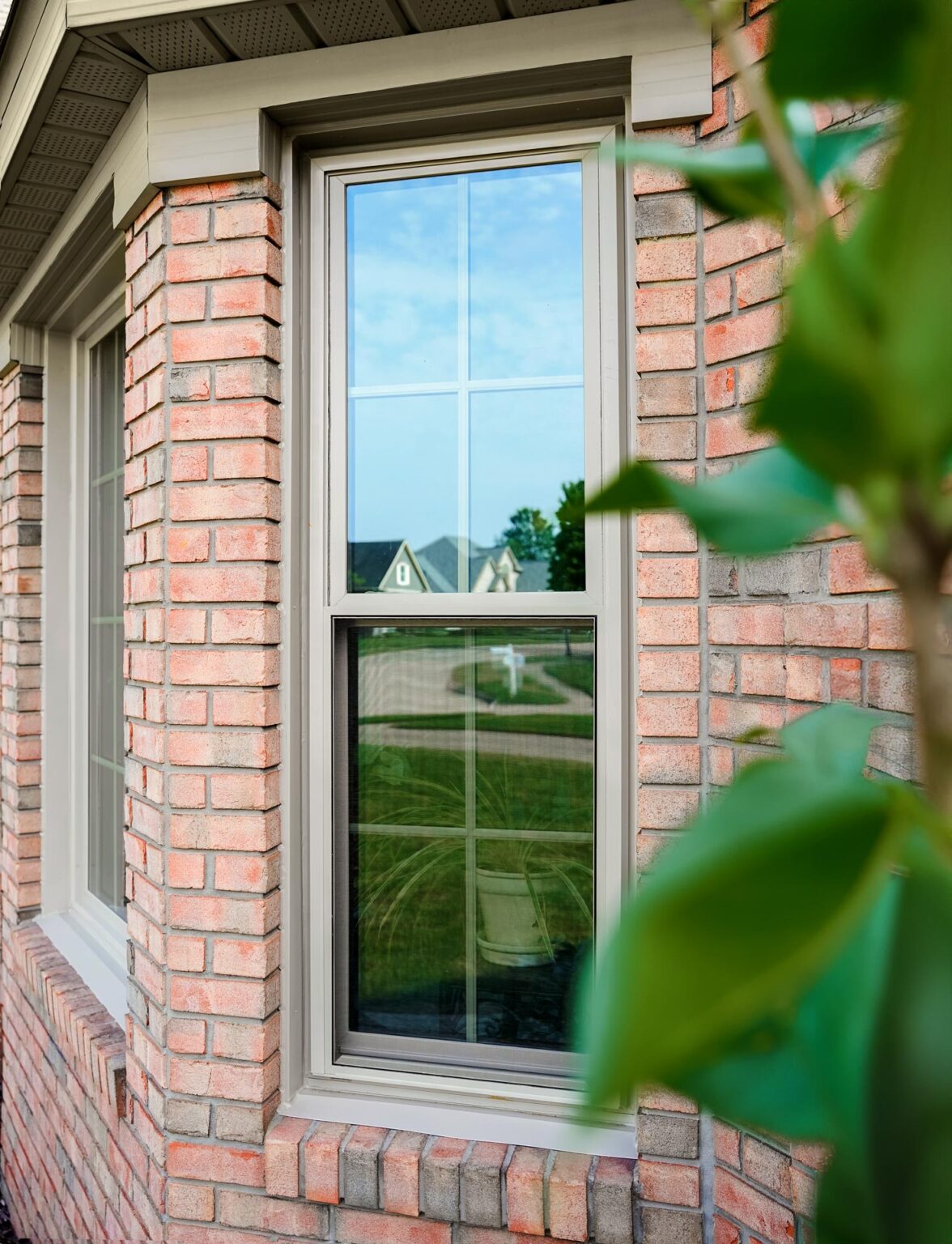 Close-up of a brick house exterior featuring large double hung windows with white trim. A blurred green tree branch is in the foreground, and a neighborhood street in St. Louis is visible in the background through the window.